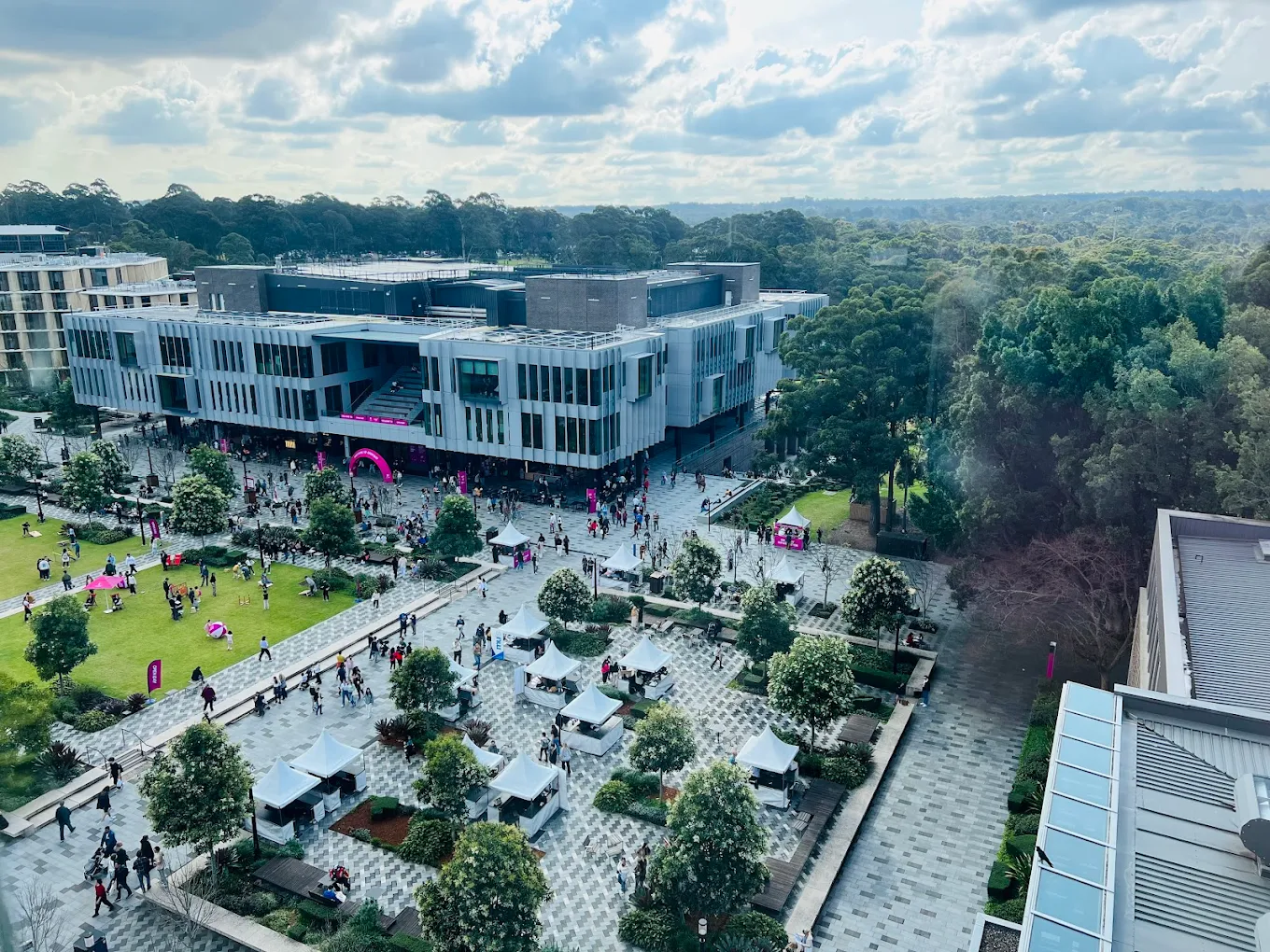 جامعة ماكواري